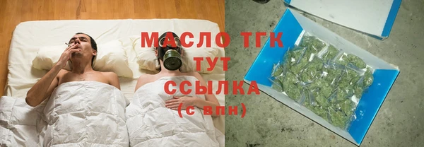 гашик Новозыбков