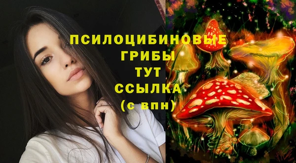 тгк Алексин