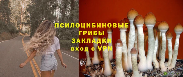 тгк Алексин
